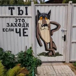 Зайду картинки прикольные