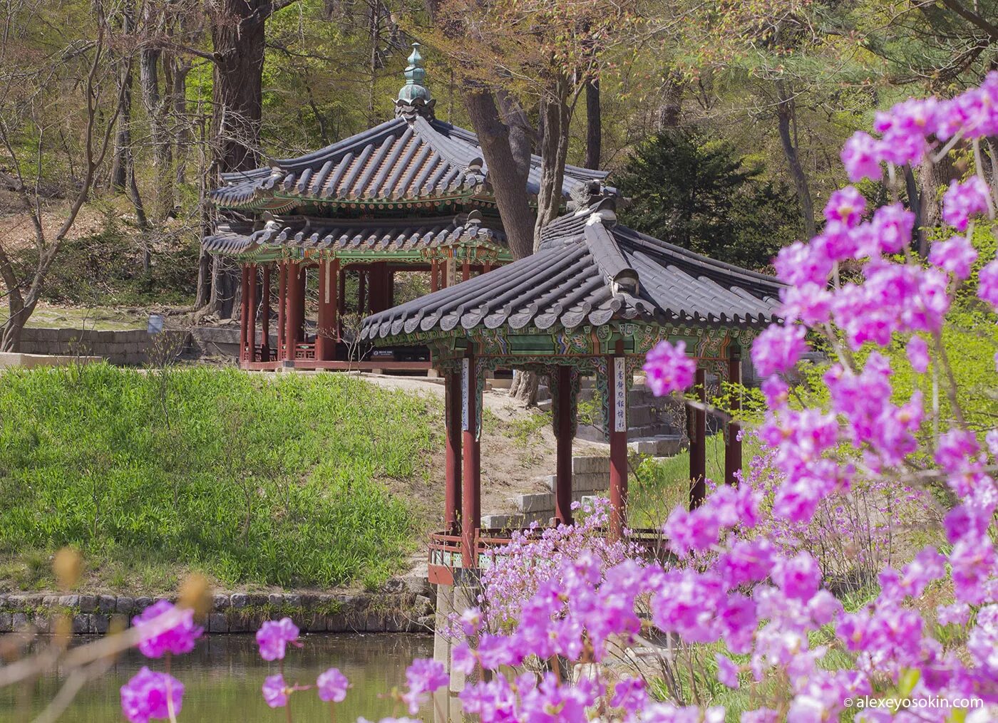 Сады бутчартов итальянский сад. Ландшафтные габионы. Garden 00. Сад николая дементьева в богданихе иваново. Оранжерея леопольда.