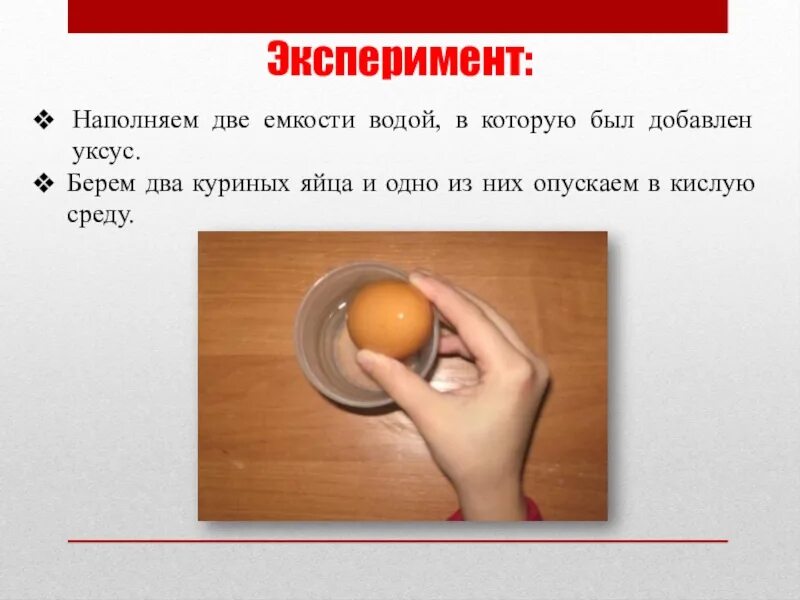 Опыт с яйцом по физике. Опыты с яйцом для детей. опыты с куриным яйцом. опыт с яйцом и уксусом. опыт с яйцом и уксусом для детей.