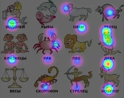 Животное по знаку зодиака близнецы
