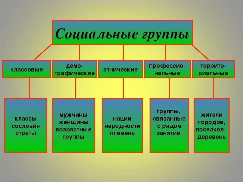 Какие существуют различные виды