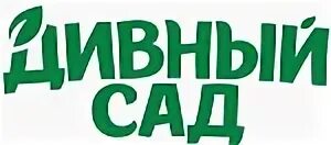 Сайт дивного