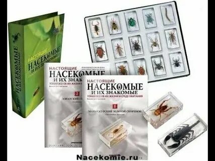 Коллекция номер 2