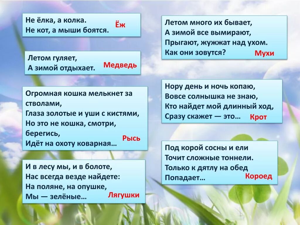 Холмы загадки. Загадки природы. Загадки про природу с ответами. Загадки на тему природа. Загадки о природе для детей.