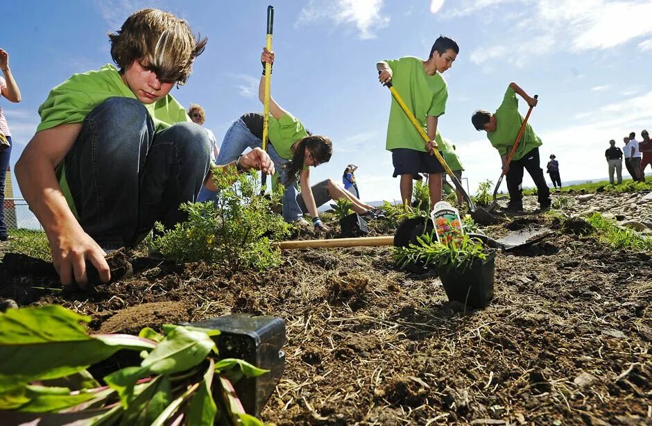 Help protect environment. Растения и человек строительство. protecting the environment. people helping the environment. environment егэ.