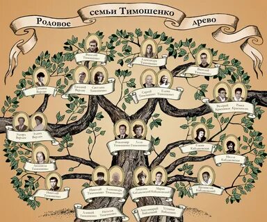 Как найти свою родословную