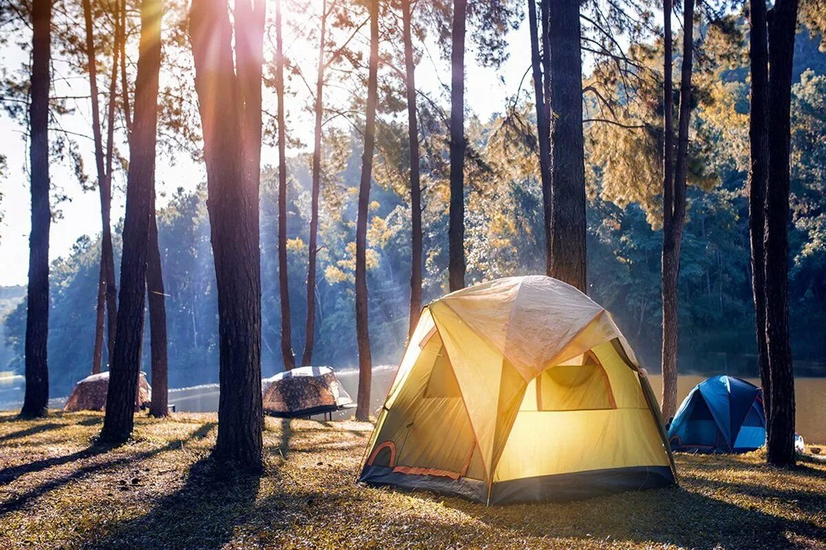 Палатка Ronin Camp. Таганай палаточный городок. Таганай кемпинг. Таганай палаточный лагерь. Photo camp
