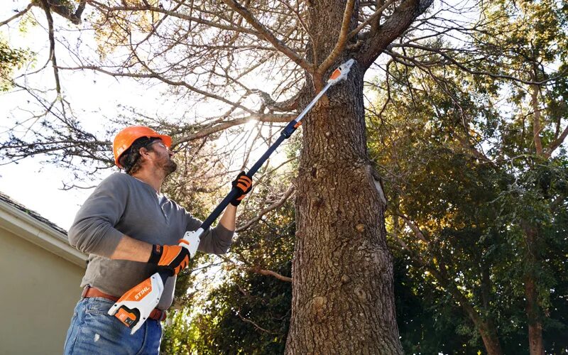 Высоторез stihl. Высоторез аккумуляторный stihl. stihl 50. аккумуляторный stihl hta-86. stihl 050.
