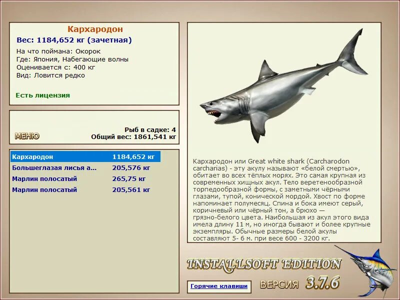 Акула русская рыбалка. Максимальный вес белой акулы. Турнир максимальный вес. Максимальный вес марлина. Большая белая акула максимальный вес.