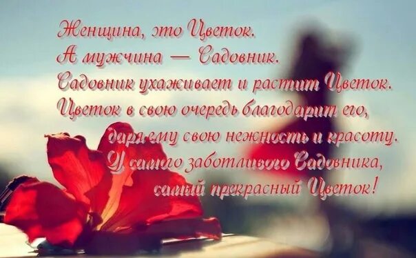 Красивые слова о женщине в прозе короткие