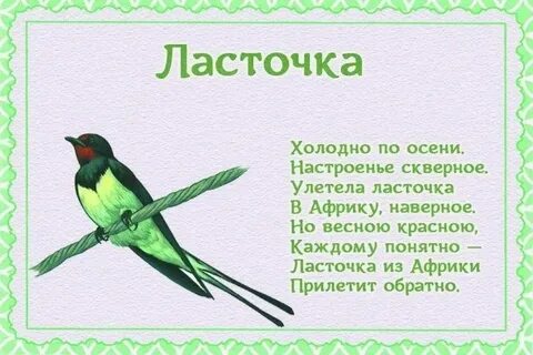 Короткие стихи про птиц