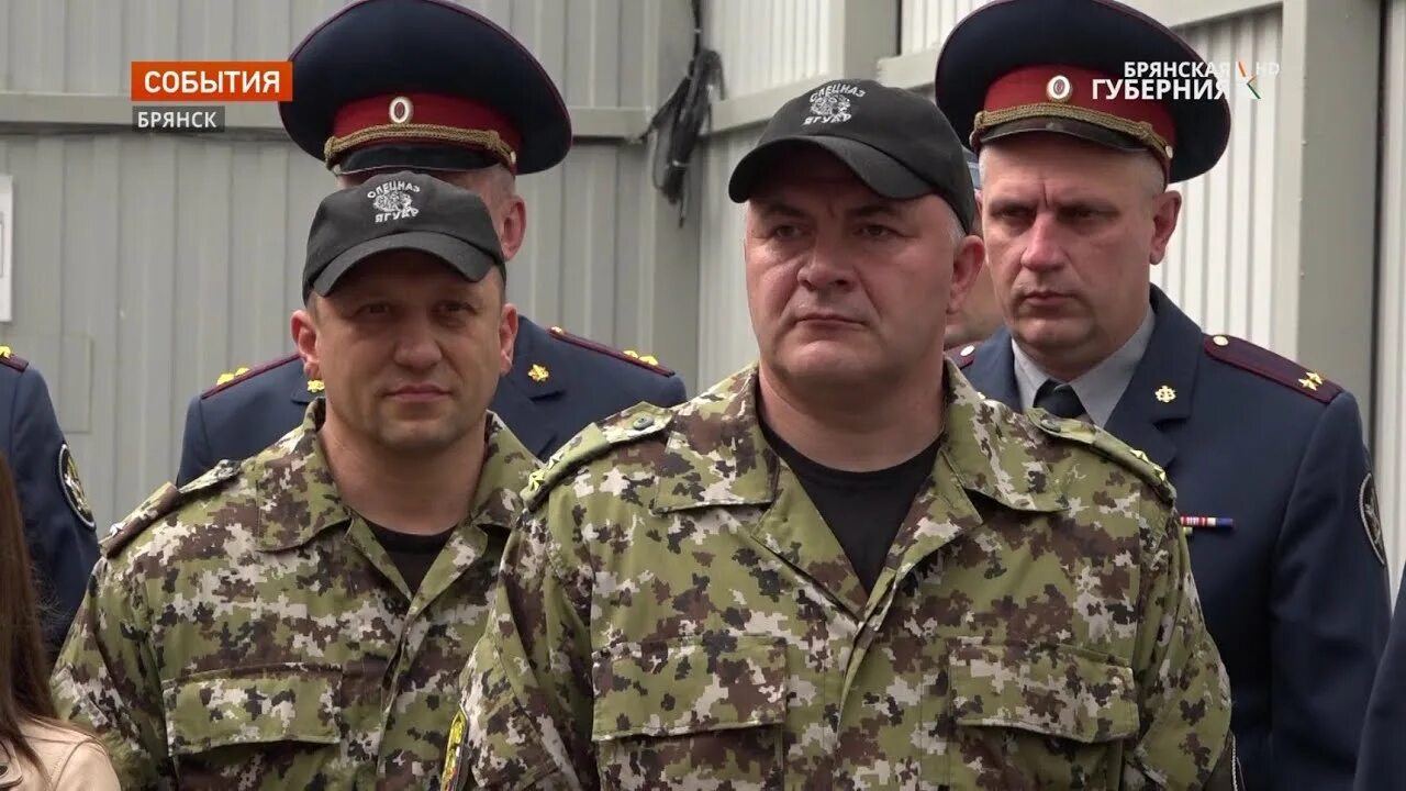 Брянск отдел. Брянский техникум управления и бизнеса. Здание цзн володарского района. Советская д. Улица кольцова брянск.