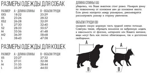 Мерки кошки