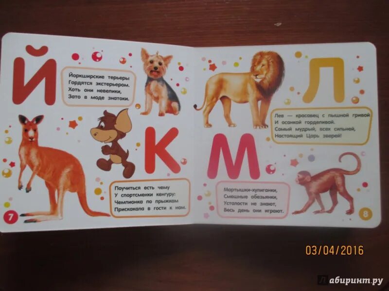 Азбука животных 1 класс. Азбука животных 1 класс