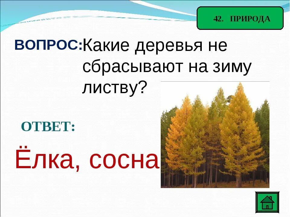 Дерево не дает листья