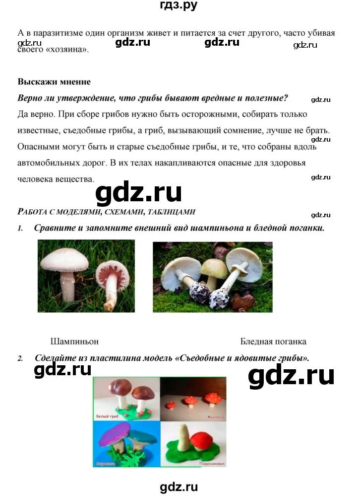 Биология 5 класс учебник параграф 20 конспект. Биология 5 класс учебник параграф 20 конспект. Биология 5 класс пономарева 1 параграф краткий. Биология 5 класс учебник параграф 20 конспект. Биология 6 класс параграф 17 конспект.