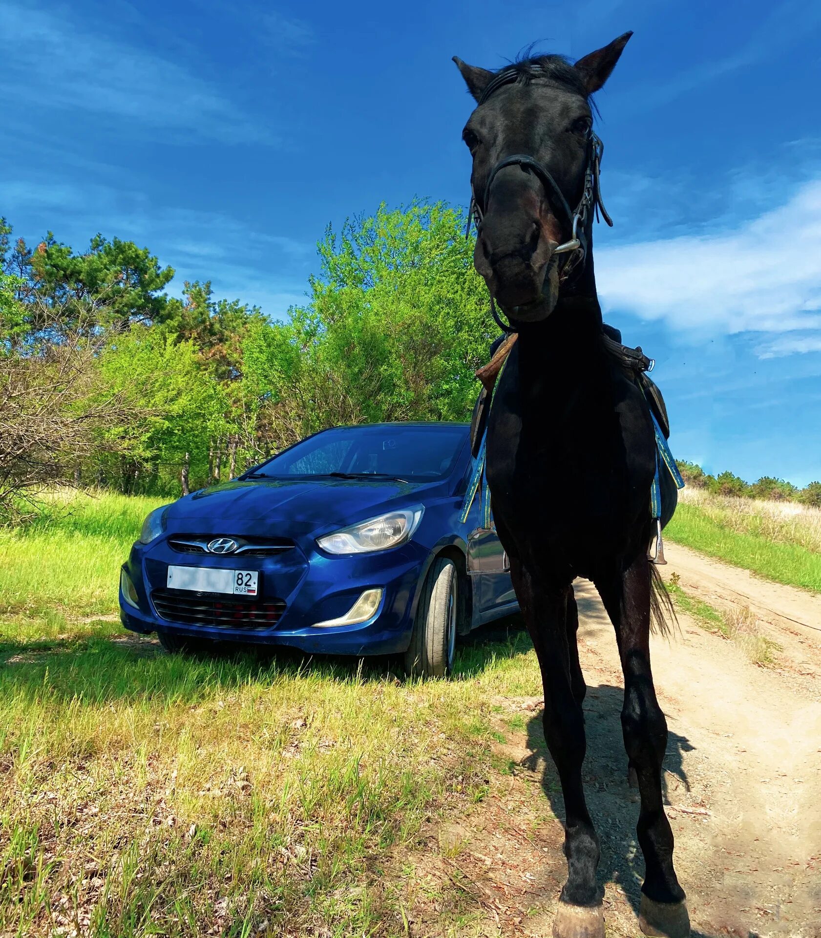 Сколько лошадиной силы хендай. Лошадиная сила. Солярис Лошадиные силы. Hyundai Solaris Лошадиные силы. Лошадиная сила Hyundai Solaris 1 4 2015.