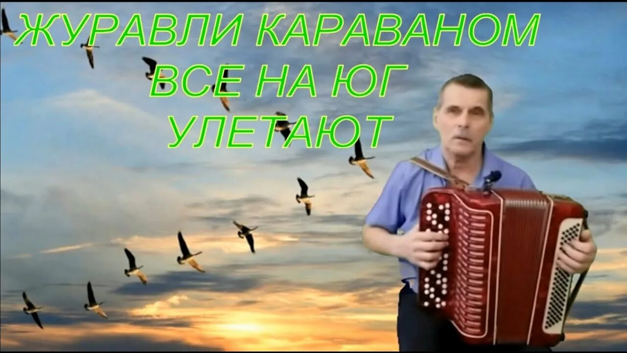 Песня журавли караваном все на юг улетают. Журавли караваном все на Юг. Журавли караваном все на Юг улетают. Караван журавлей. Журавель для аккордеона.