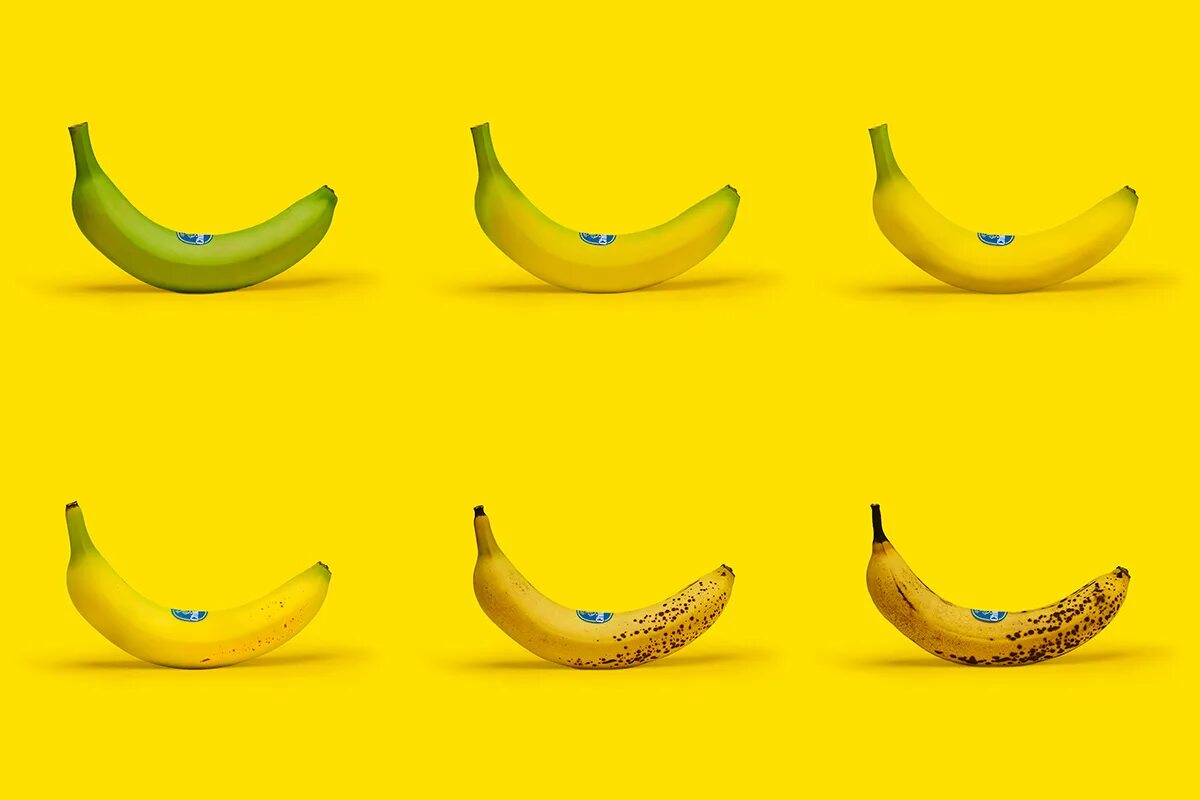 Сколько лежат бананы. Банан на белом фоне. Банан на зеленом фоне. Спелость бананов. ГАЗ для бананов для созревания.