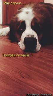 Поиграем мне скучно