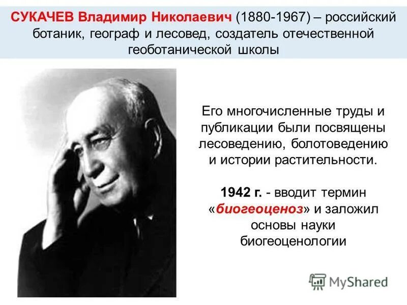 Н сукачев вклад в развитие экологии. Биогеоценоз сукачев владимир николаевич. академик сукачев. владимир сукачев вклад в экологию. сукачев владимир николаевич вклад.