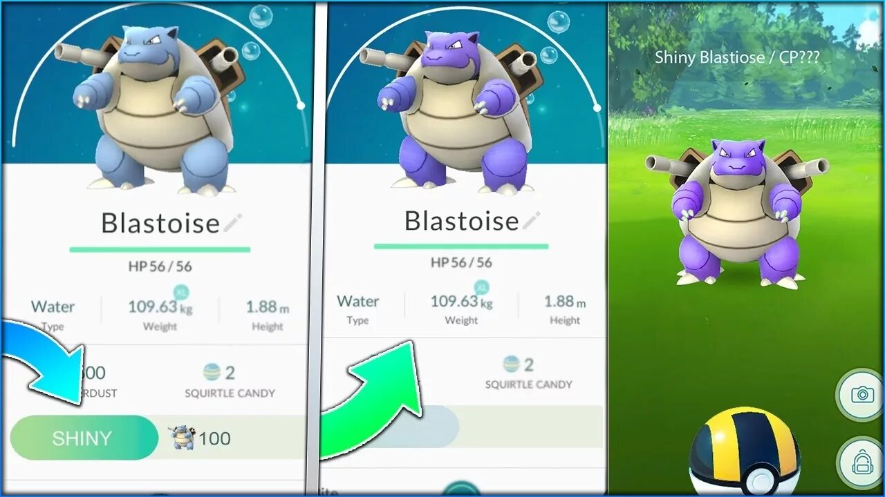 Shiny go