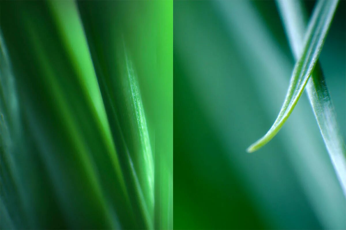 Зел про. Зеленый фонарь (2011) green lantern. Green lantern 4k. Green lantern. Зел про.