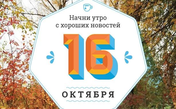 Где 16 октября. 16 Октября. День недотрог 16 октября. 16 Октября картинки. День недотрог 16 октября картинки.