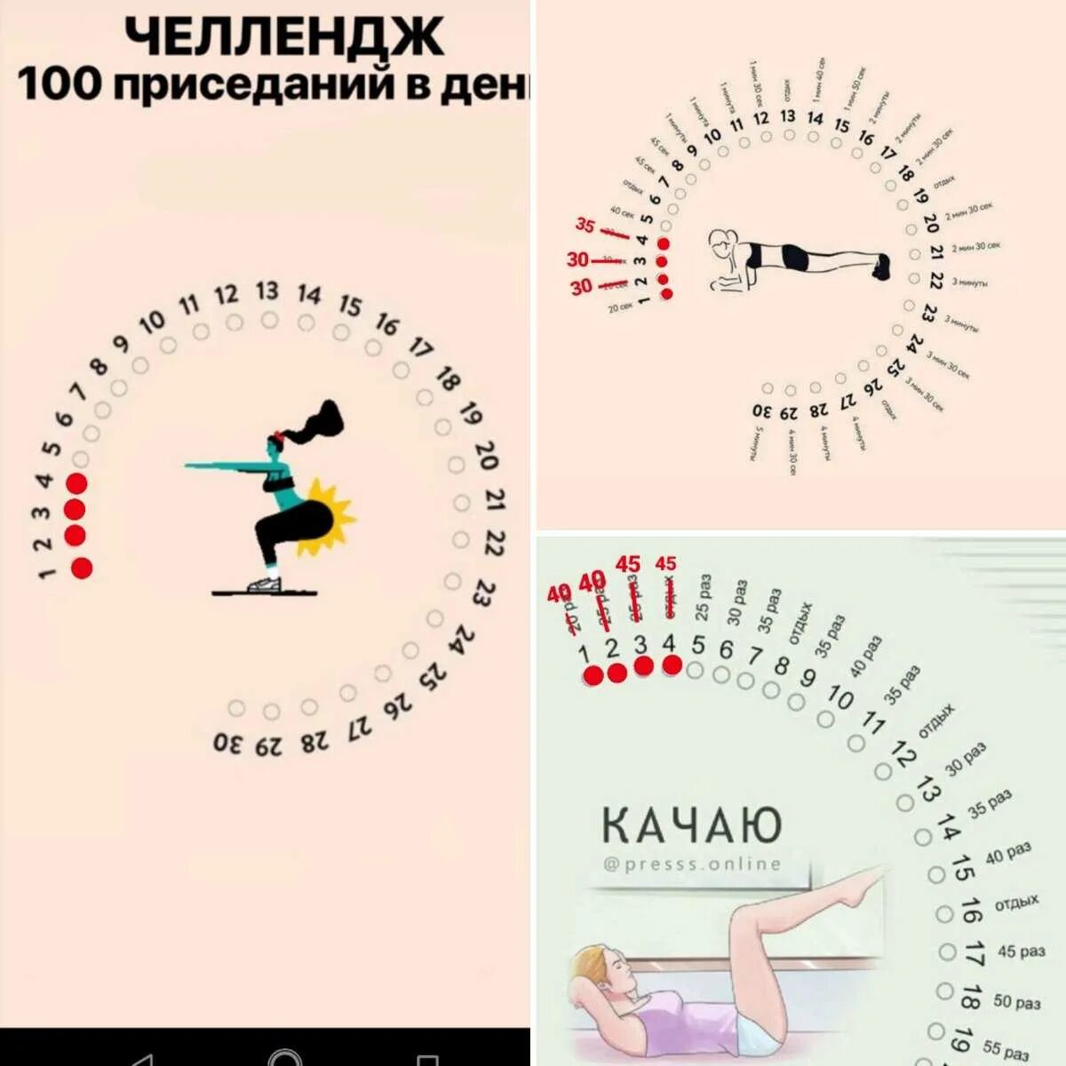 Check challenge