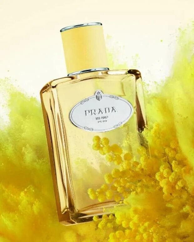 Духи Prada de Mimosa. Infusion de Mimosa Prada. Мимоза Прада Парфюм. Prada Milano Infusion de Mimosa золотое.