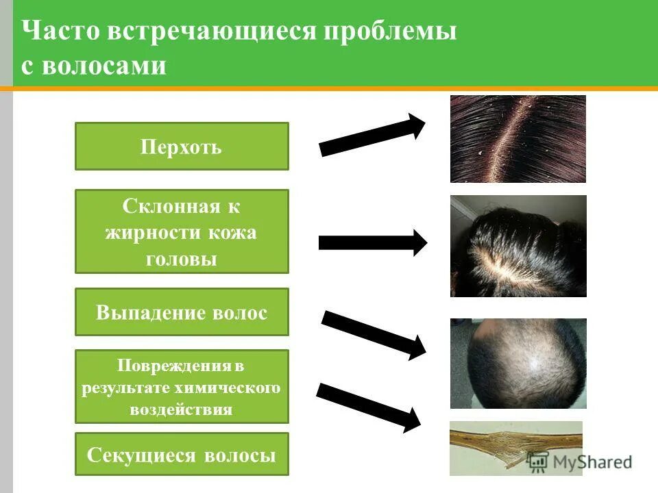 Типы повреждения волос. Таблица повреждения волос. Факторы повреждения волос.