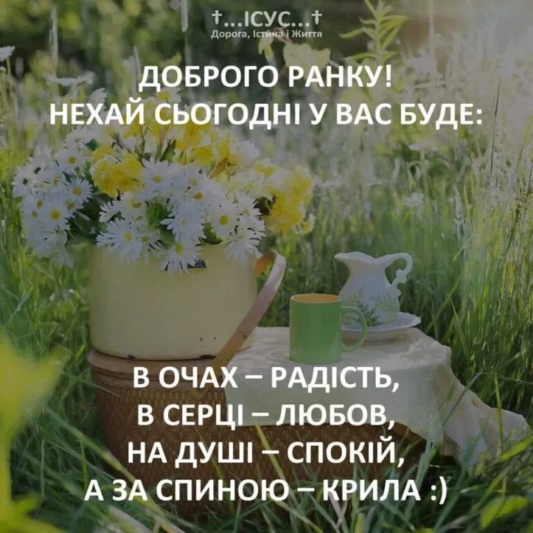 Доброго весняного ранку. Открытки с добрым утром на украинском языке. Доброго ранку. Поздравления с добрым утром на украинском языке. Доброго ранку на украинском языке.