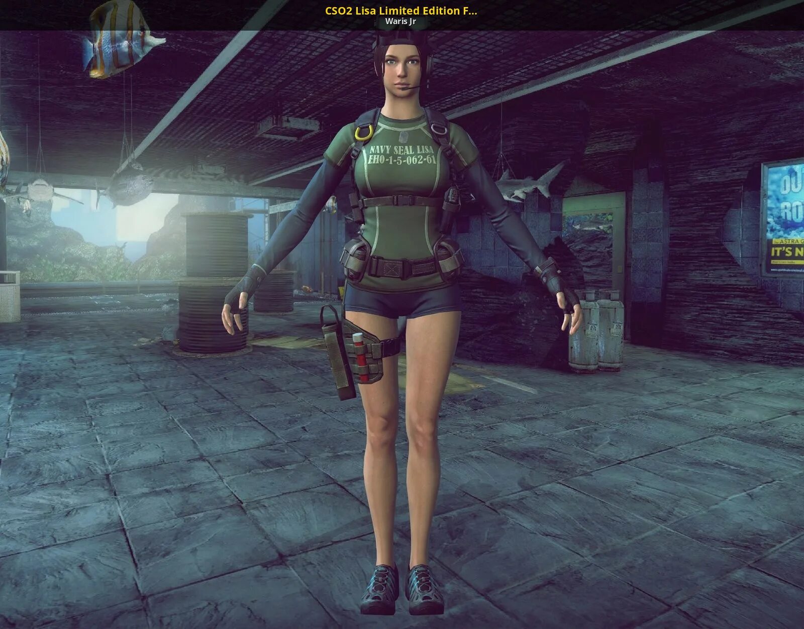 Cs2 mods