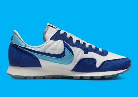 Nike air pegasus