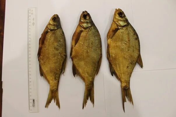 Сушеная рыба с балхаша. Сарапул. Сарапул рыбалка. Рыбный край сарапул. Ставрида черноморская копченая.