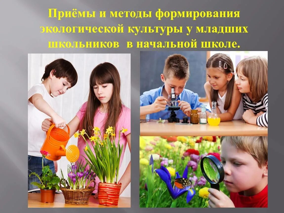 Экологическое воспитание виды. Экологическое воспитание. экологическое воспитание школьников. экологическое воспитание младших школьников. воспитание экологической культуры.