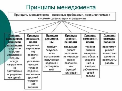 Система управления организацией понятие и определение