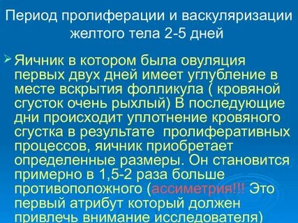 Васкуляризация