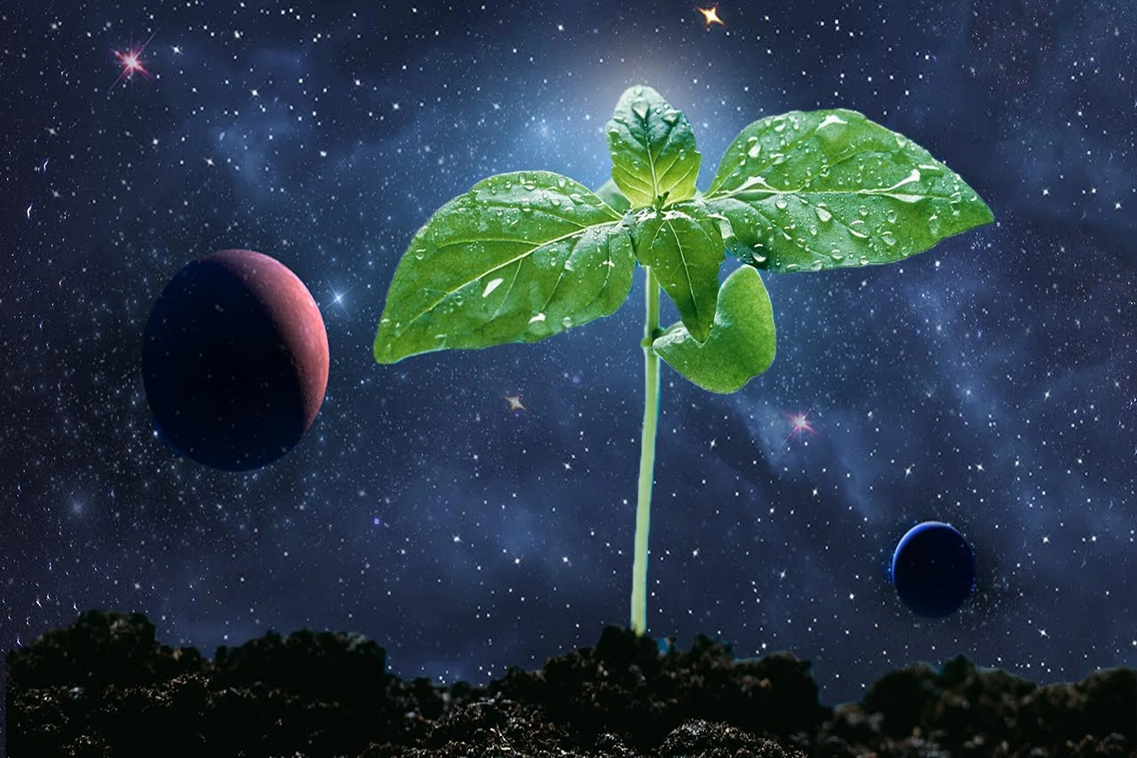 Космобиолог. How to grow a planet (2012) bbc. How to grow a planet (2012) bbc. Как вырастить планету 2. Grow planet.