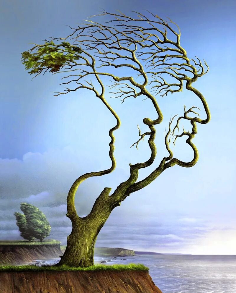 Картинки лицо дерево. Иллюзия дерево. Деревья. Дерево рисунок. Зачем нужно знать своих предков.