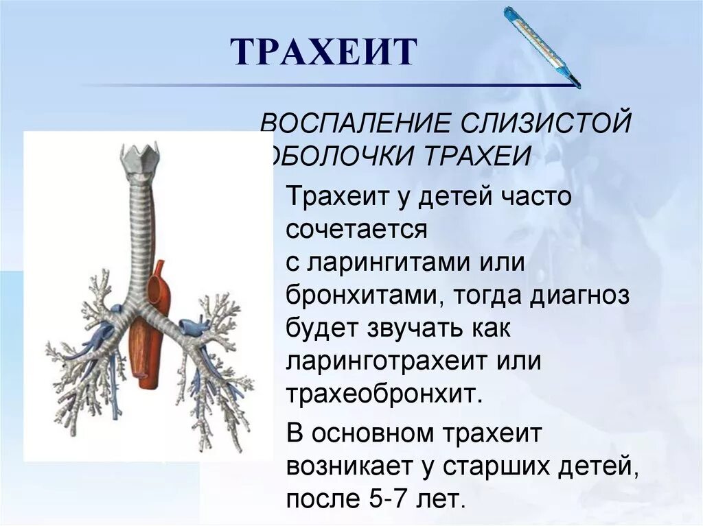 Воспаление трахеи симптомы. Трахеобронхит лечение кашля