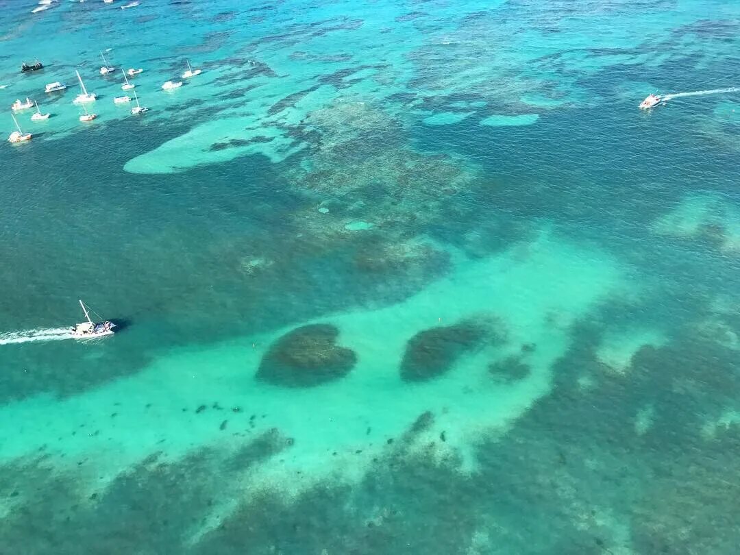 туры доминикана из москвы все. горящие путевки. путёвки в доминикану всё включено. туры доминикана из москвы все. туры доминикана из москвы все.