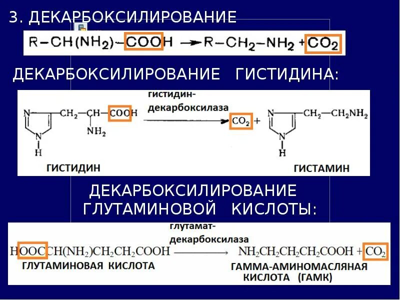 Амины группы б. Декарбоксилирование аминокислоты ггистидина. Механизм декарбоксилирования глутамата. Декарбоксилирование аминокислот ГАМК. Декарбоксилирование 2-аминопентандиовой кислоты.