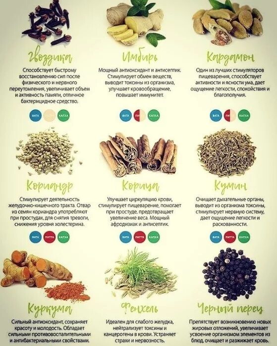 пряности названия. полезные приправы и специи. сочетание и использование приправ и пряностей. специи и пряности названия. специи названия.
