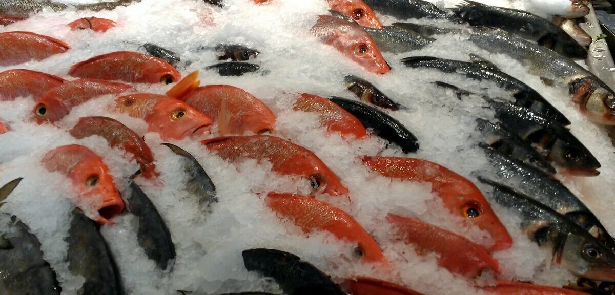 Охлаждение продукта льдом