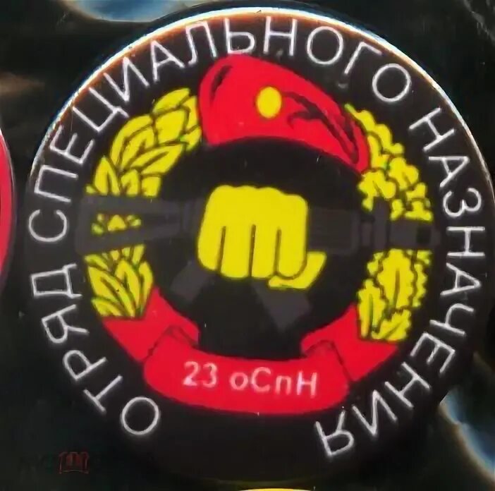 Отряд специального назначения шторм. Шеврон 34 отряда спецназа. скиф шеврон 34 оспн. шеврон 34 оспн. шеврон 21 отряда тайфун группа специального назначения.