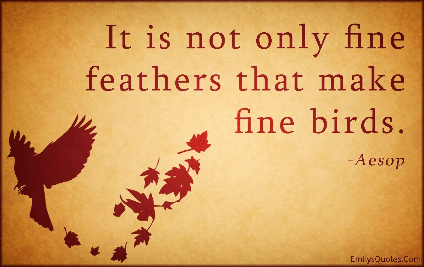 Only fine. Fine Feathers make Fine Birds. Only Fines. Quotes about Birds. Inspiring Birds.