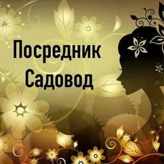 Посредник на юле