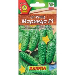 Огурцы маринда описание