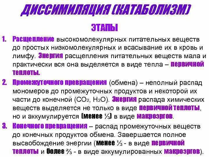 Расщепление высокомолекулярных соединений. Изодинамия питательных веществ физиология. Правило изодинамии питательных веществ. Завершается расщепление и всасывание питательных веществ. Расщепление высокомолекулярных веществ.